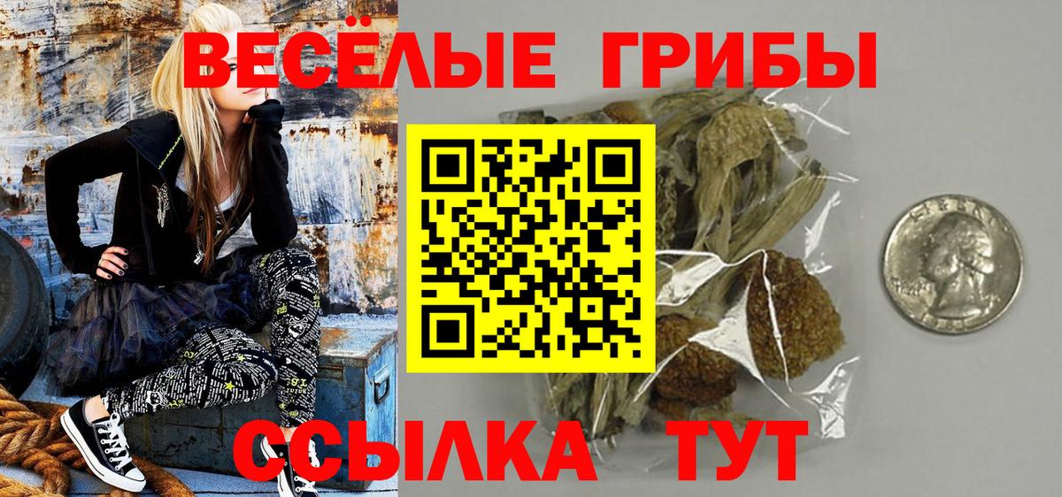 Галлюциногенные грибы мухоморы Сухой Лог