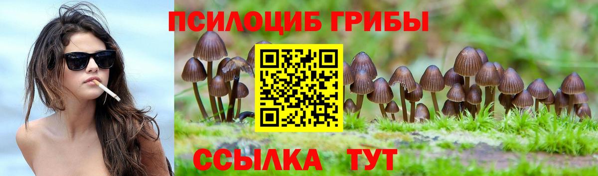 Псилоцибиновые грибы GOLDEN TEACHER  купить закладку  Псилоцибиновые грибы MAGIC MUSHROOMS  Сухой Лог  Вход с VPN 